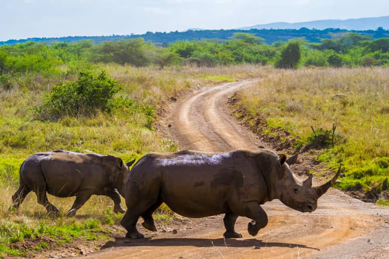 nairobi virtual tour