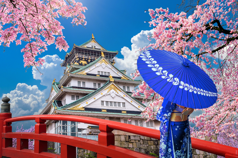 Cherry Blossom Season At Osaka Castle, Osaka, Japan | Live Virtual Tour ...